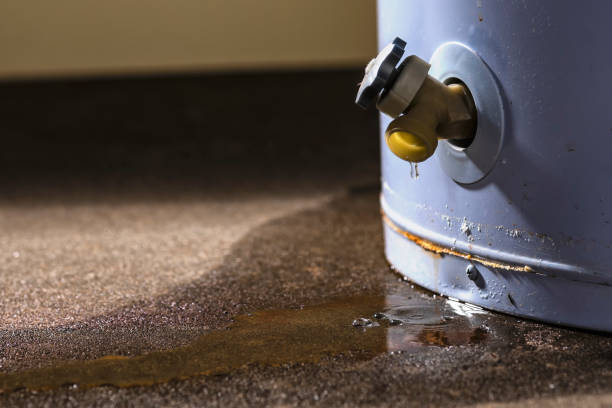 Best Residential water damage restoration  in Cave City, AR