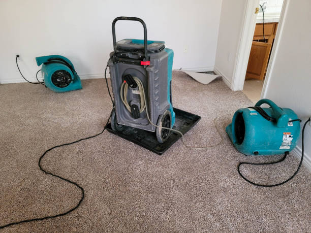 Best Basement water damage restoration  in Cave City, AR