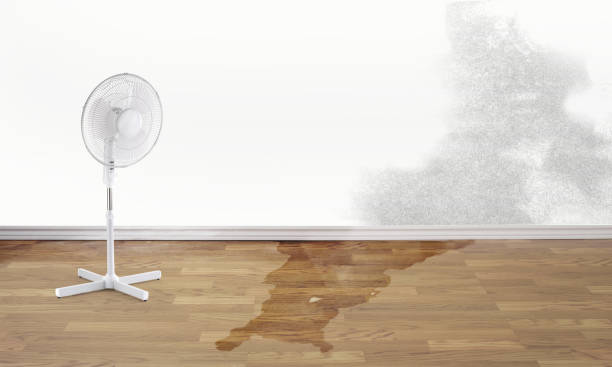 Best Water damage restoration near me  in Cave City, AR