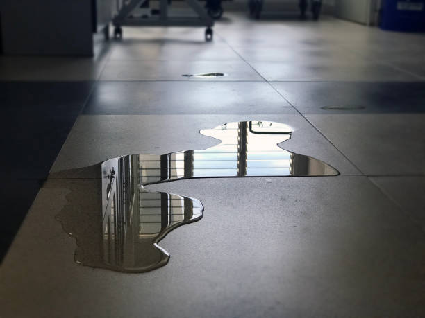 Best Water damage repair service  in Cave City, AR