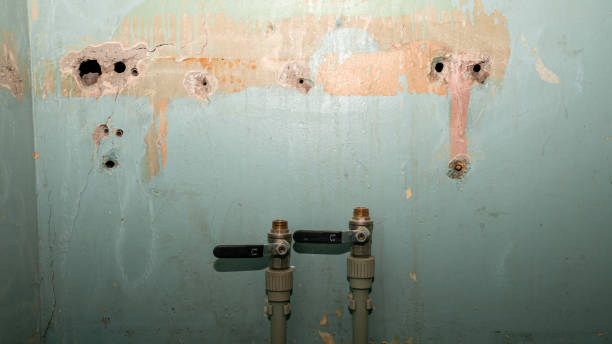 Best 24-hour water damage restoration  in Cave City, AR