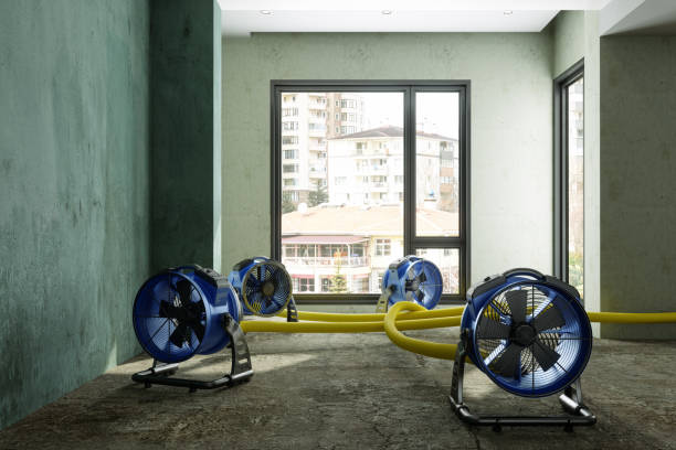 Best Water damage restoration experts  in Cave City, AR