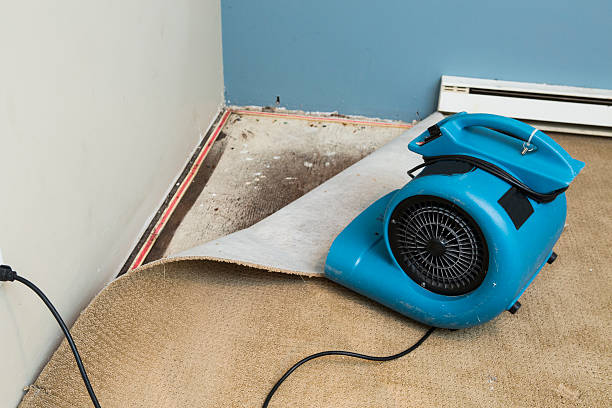 Best Carpet water damage restoration  in Cave City, AR